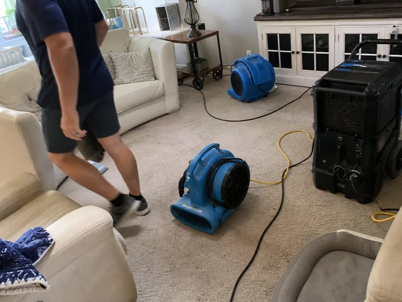 Commercial Restoration project 2