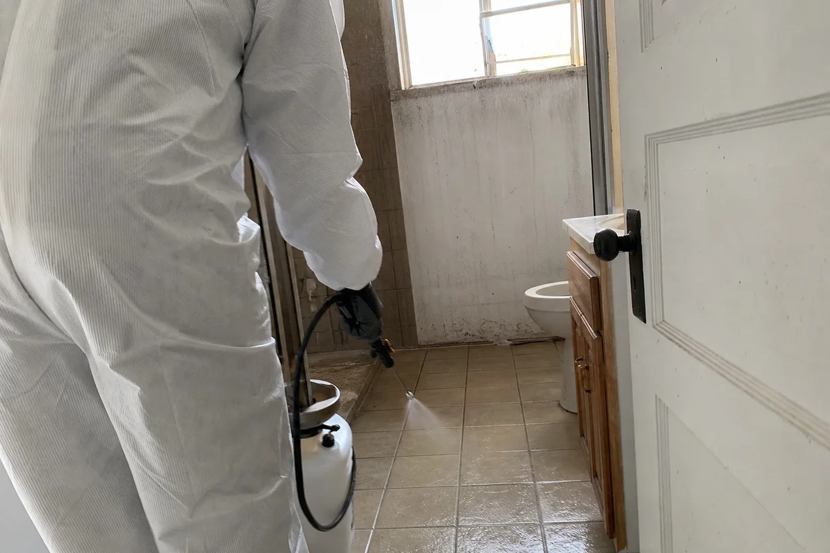 EPA-registered disinfectant applied to surfaces